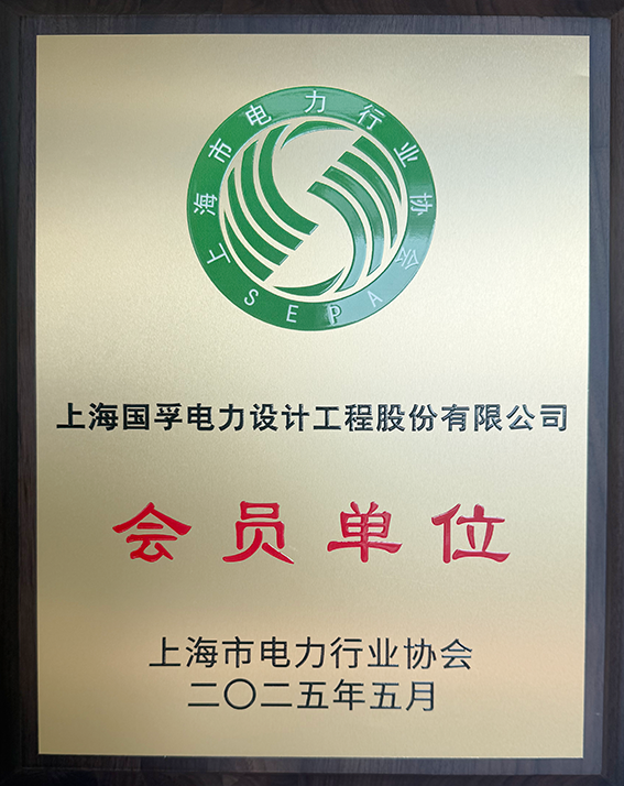 国孚上海电力行业协会会员单位.png