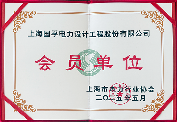 国孚上海电力行业协会证书.png